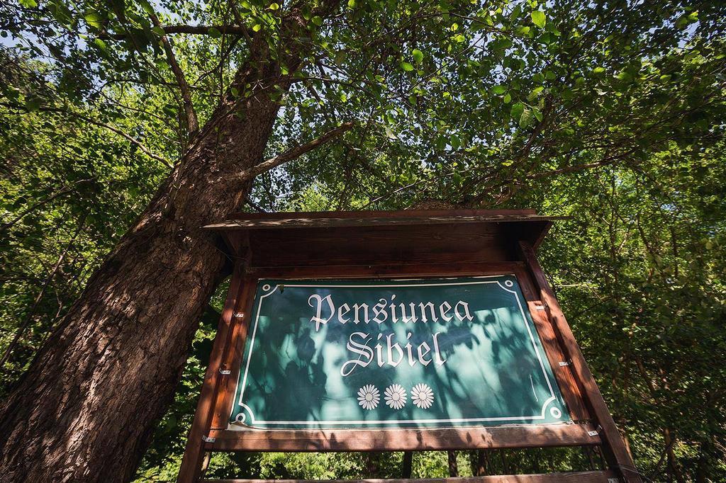 Pensiunea Сибьел Экстерьер фото